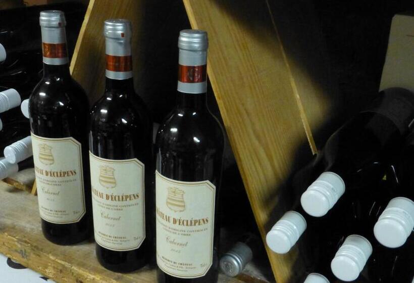 호텔 Hôtel De France