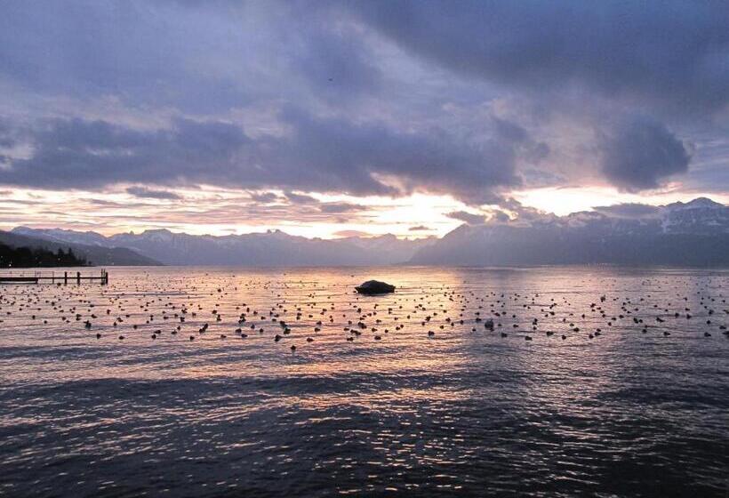 فندق Hôtel Du Port