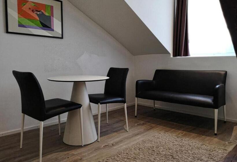 酒店 Hôtel Du Raisin