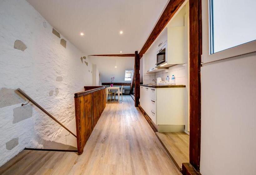 酒店 Hôtel Du Raisin