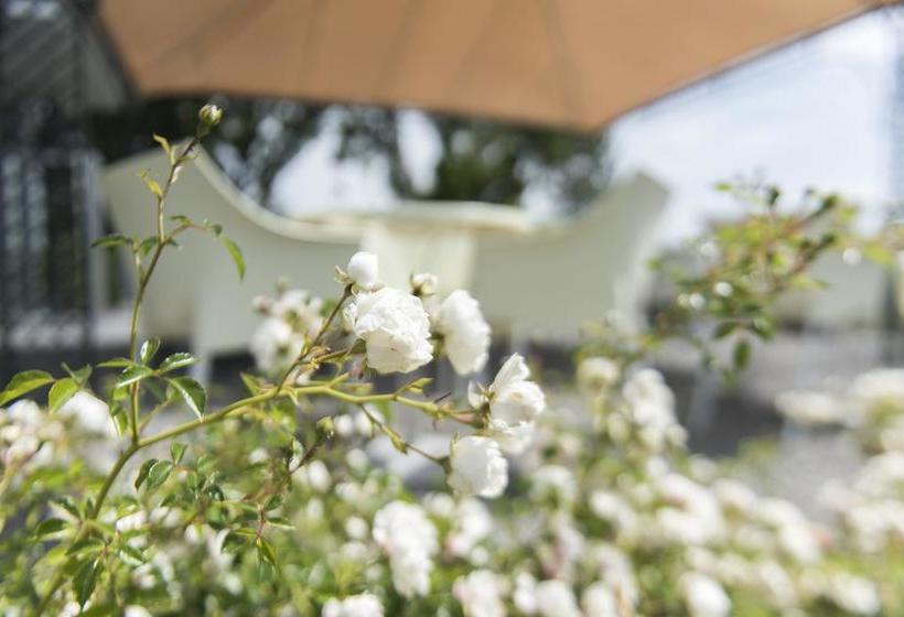 Hotel Hôtel Le Funi De Cossonay