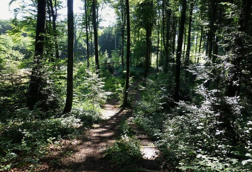 Hotel Hôtel Le Funi De Cossonay