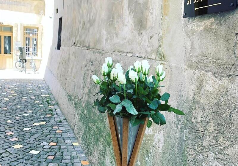 בית מלון כפרי Le Rive Sud