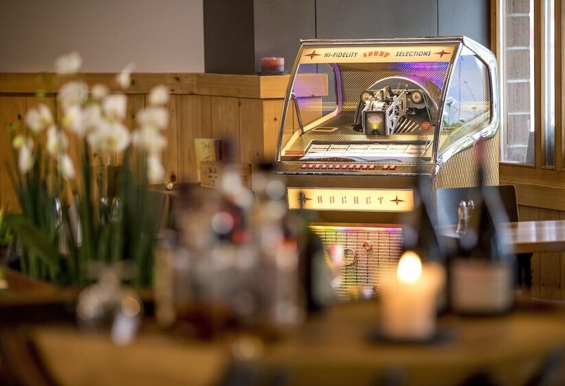 Отель Meiringen