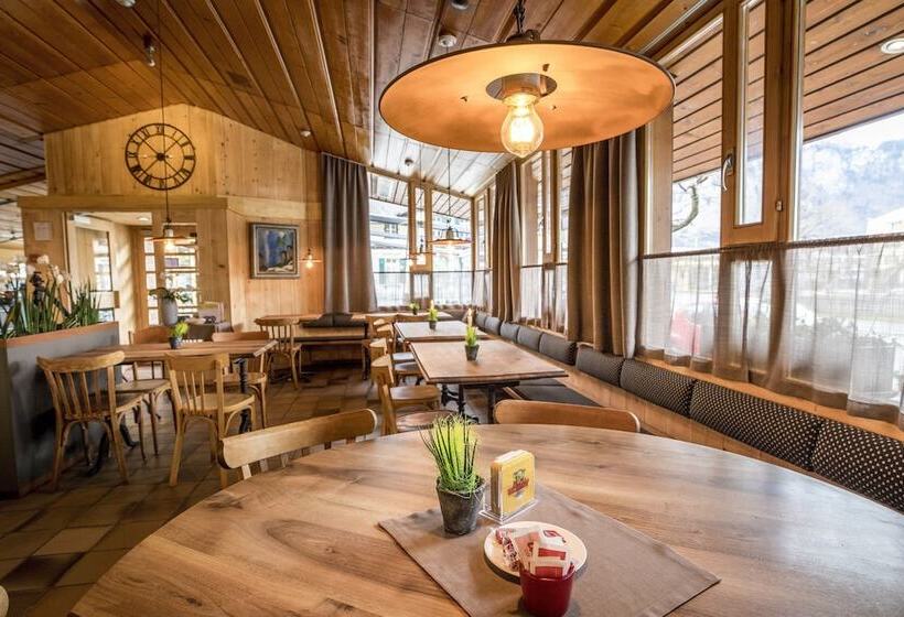 Отель Meiringen