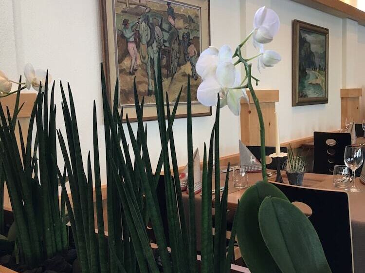 Отель Meiringen