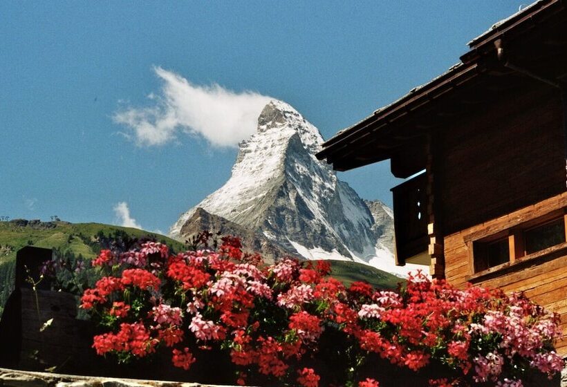 ホテル Mountain Paradise