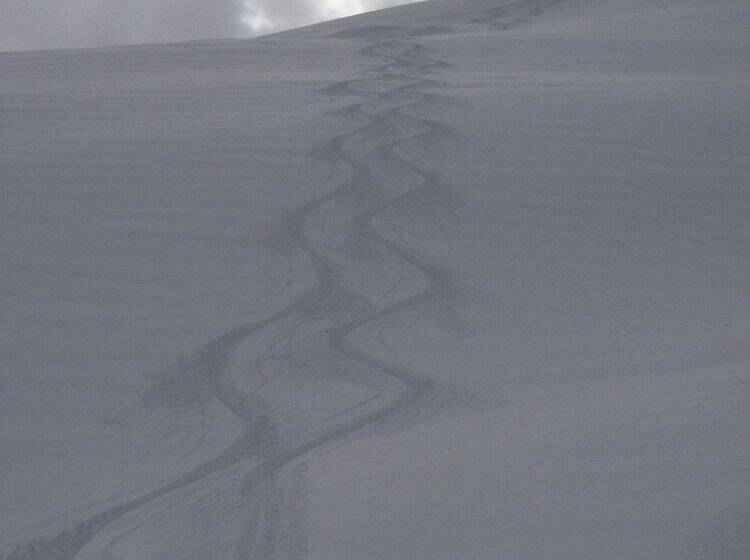 ホテル Mountain Paradise