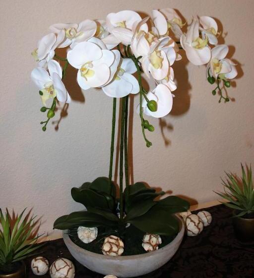 בית מלון כפרי Petersgrat