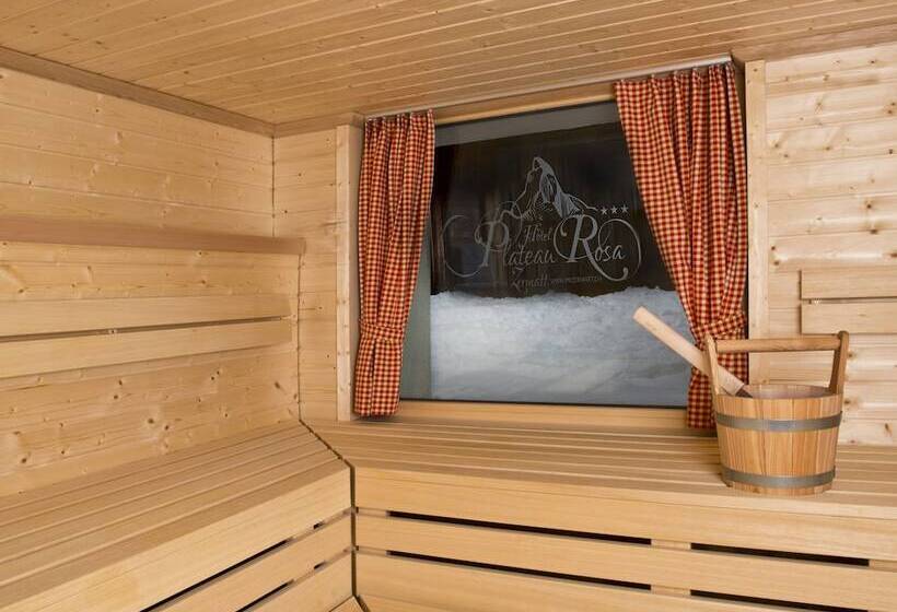 فندق Plateau Rosa