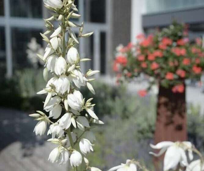 酒店 Q.c.m. Campus