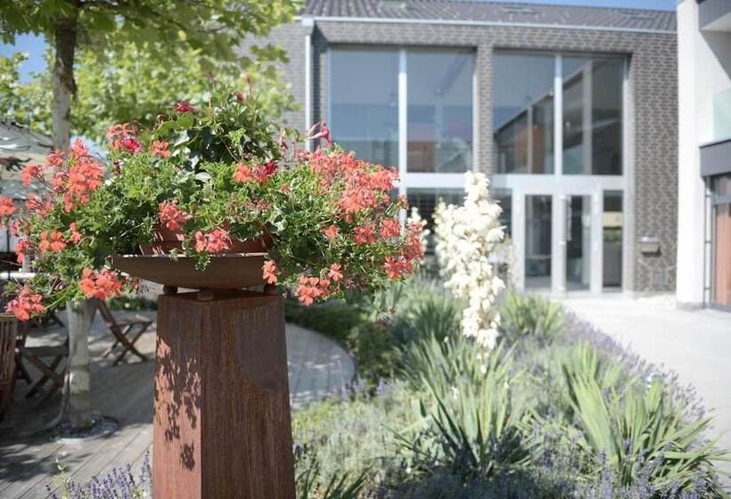 酒店 Q.c.m. Campus