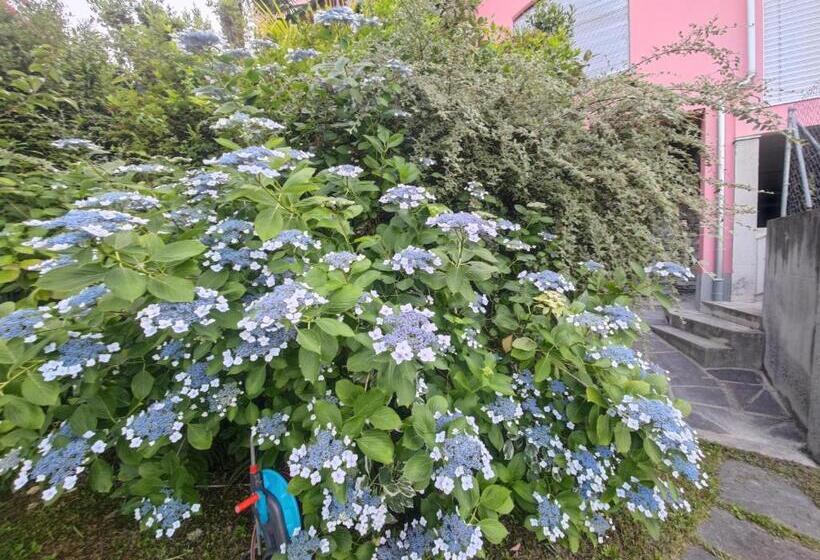 בית מלון כפרי Residence Venus Garden