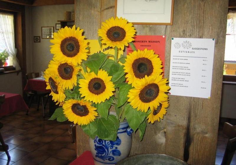 בית מלון כפרי Elite B&b