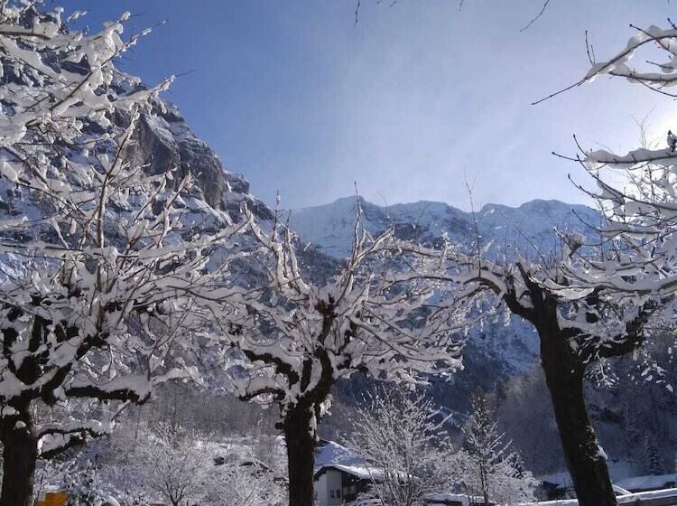 호텔 Restaurant Stechelberg Bed & Breakfast