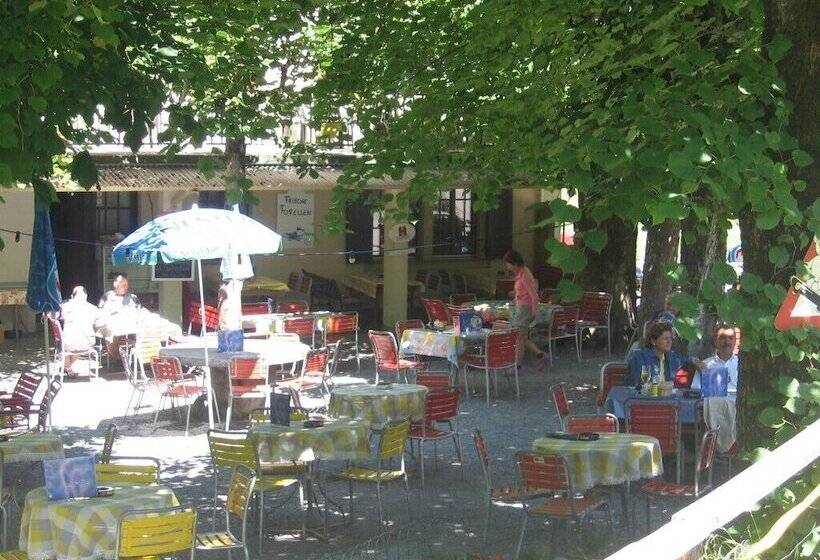 호텔 Restaurant Stechelberg Bed & Breakfast