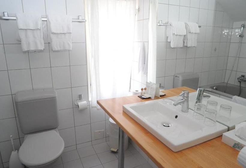 בית מלון כפרי Schiff Am See