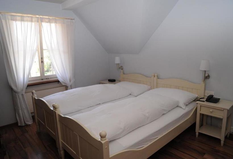 בית מלון כפרי Schiff Am See