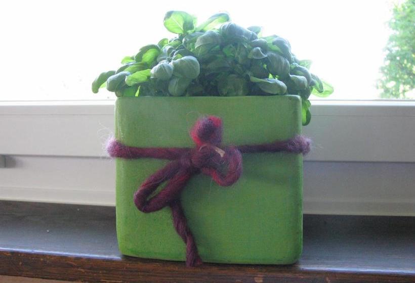 酒店 Zimmer & Z Morgä Schönenboden