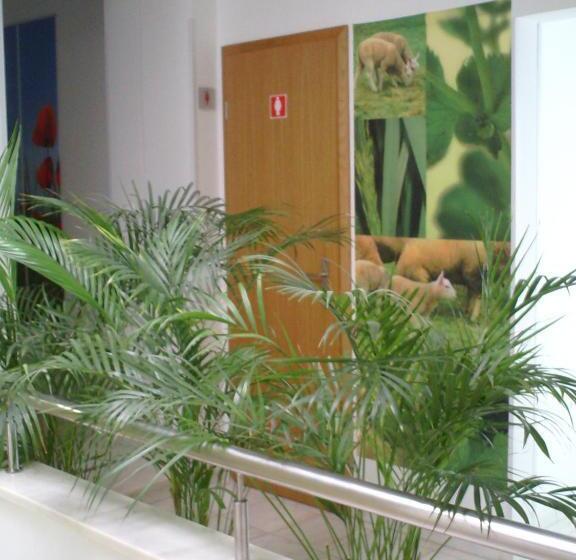 בית מלון כפרי Serafim