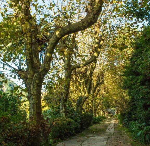 هتل Sintra Jardim