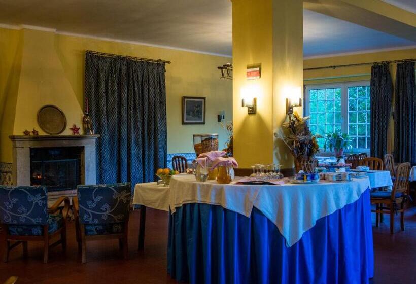 هتل Sintra Jardim