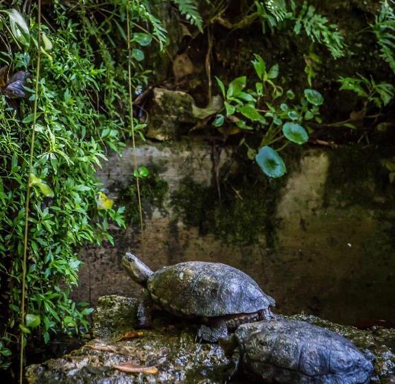 هتل Sintra Jardim