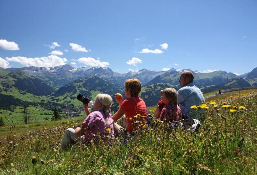 Отель Spitzhorn Superieur