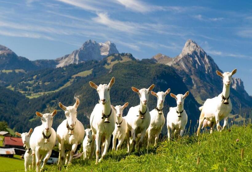 Отель Spitzhorn Superieur