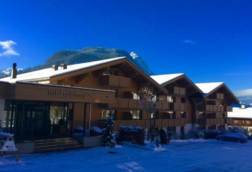 Отель Spitzhorn Superieur