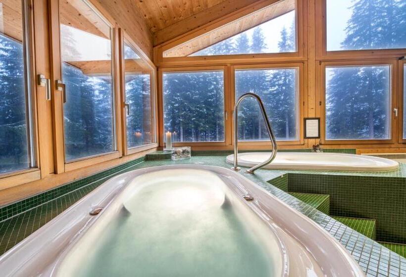 ホテル Und Naturresort Handeck