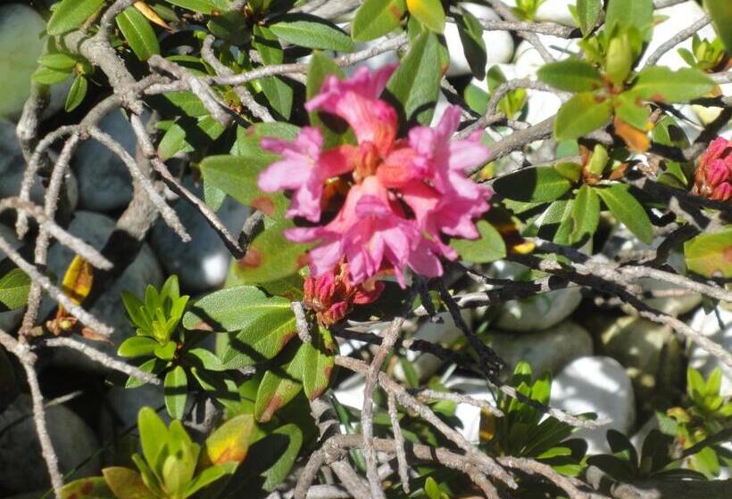 Lehmann's Herberge Hostel