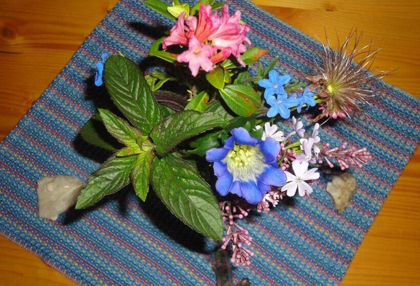 Lehmann's Herberge Hostel