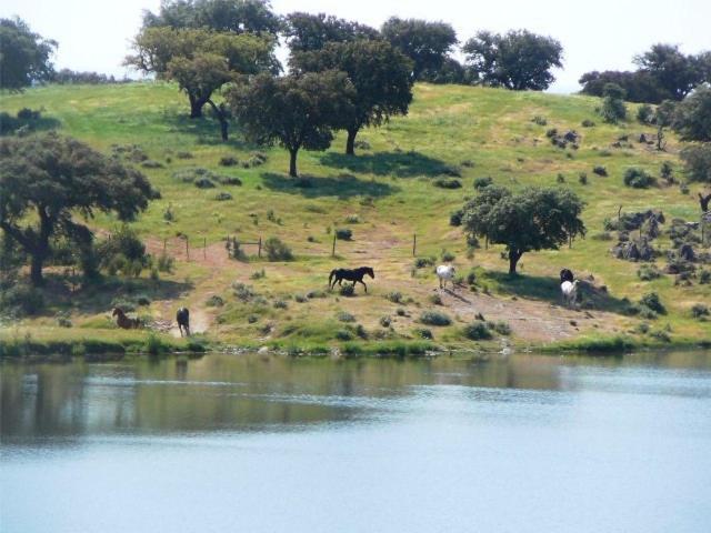 Naveterra Hotel Rural