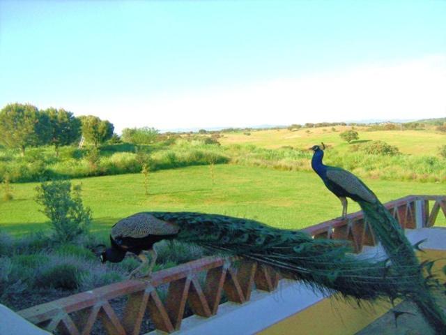 Naveterra Hotel Rural