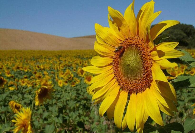 Naveterra Hotel Rural