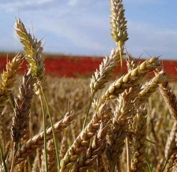 Naveterra Hotel Rural