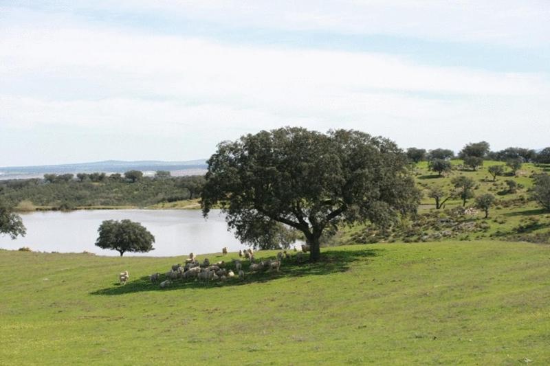 Naveterra Hotel Rural