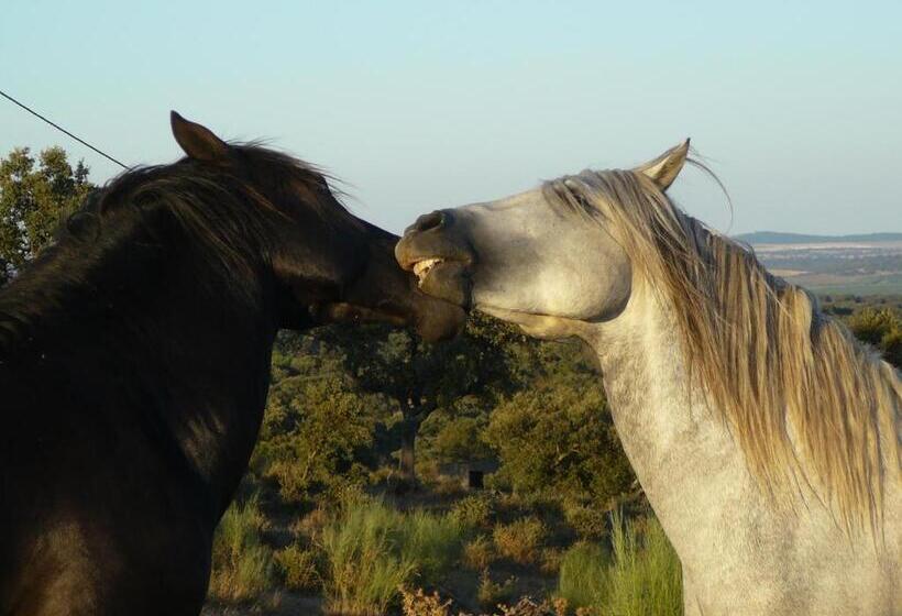 Naveterra Hotel Rural