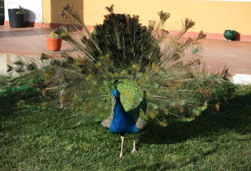 Naveterra Hotel Rural