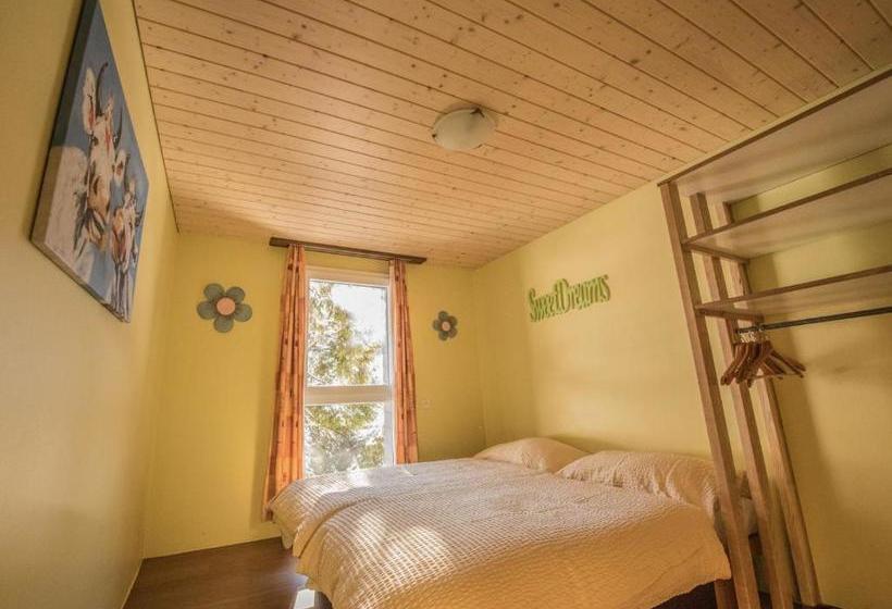 旅馆 Schutzenbach Backpackers For Adults 18 35