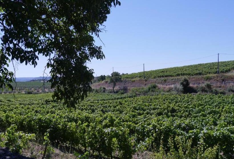 Quinta Do Salgueiro B&b   Turismo Rural