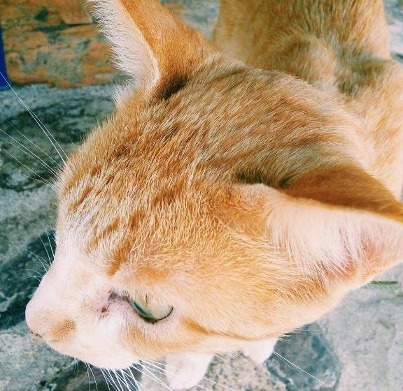 레지던스 Herdade Do Azinhal