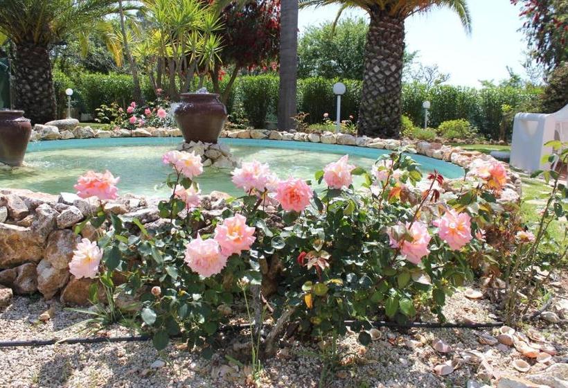 استراحتگاه Quinta Dos Oliveiras