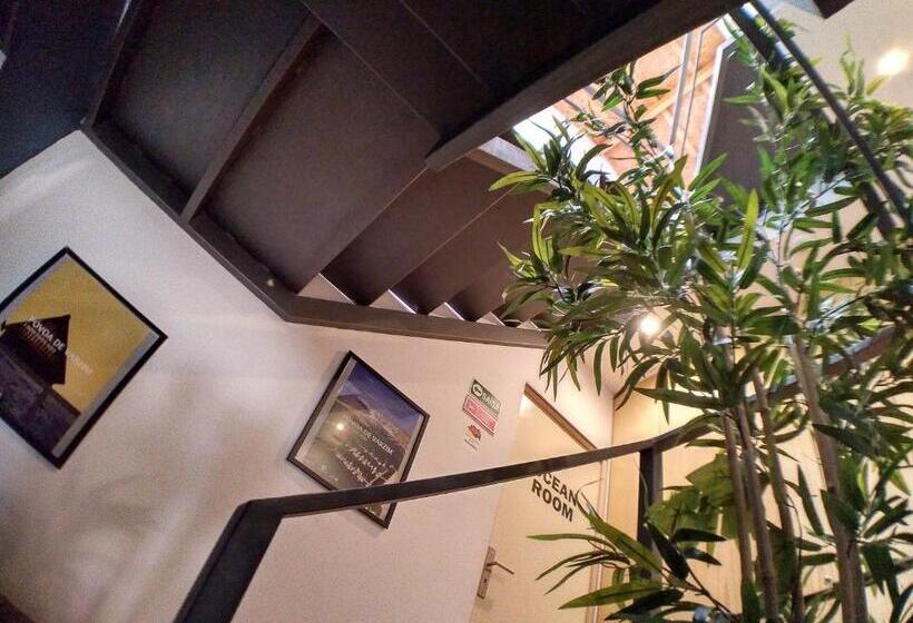 Sardines And Friends Hostel 04