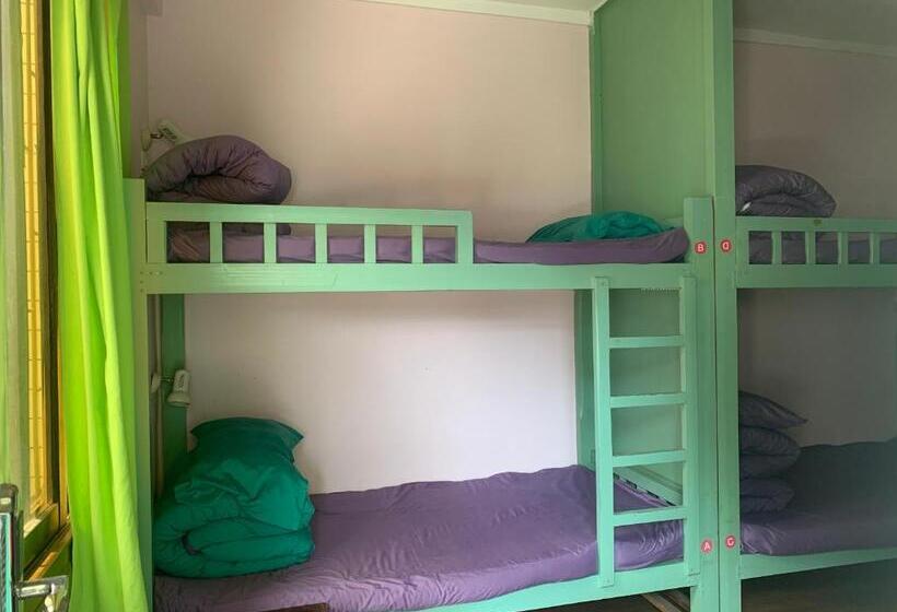 הוסטל 桂林时光驿青年客栈