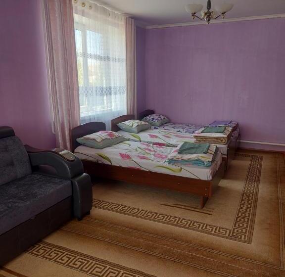 هاستل Albi Sabi