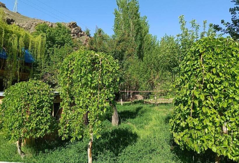 هاستل Pamir Lodge