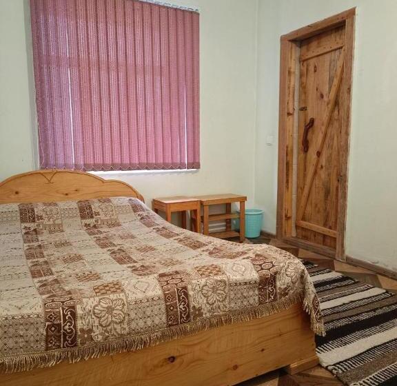 هاستل Pamir Lodge