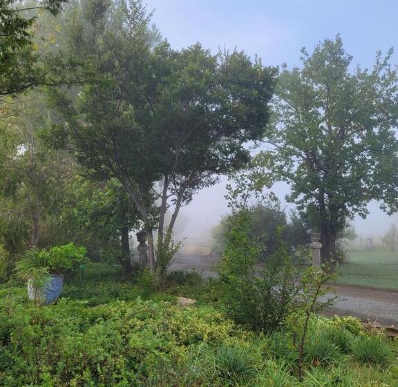 At The Nest Bed & Breakfast Guesthouse